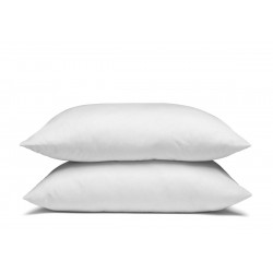 Lot de 2 Oreillers super gonflant coton bio 65x65 cm - Ferme