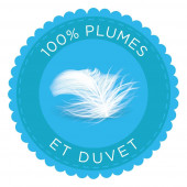 Couette 100% plumes et duvet