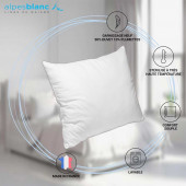 caractéristiques Oreiller Naturel 90% Duvet