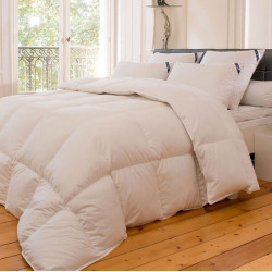 Couette Naturelle en Plume 240x260